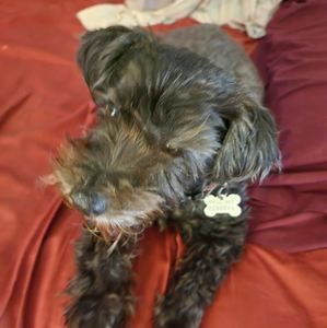 Meet your Posher, Fred